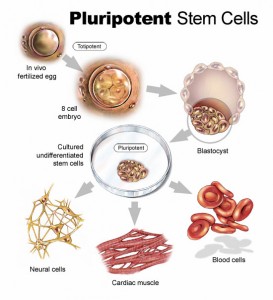 Future Stem Cell Technology